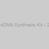 AzuraQuant cDNA Synthesis Kit - 25 Reactions